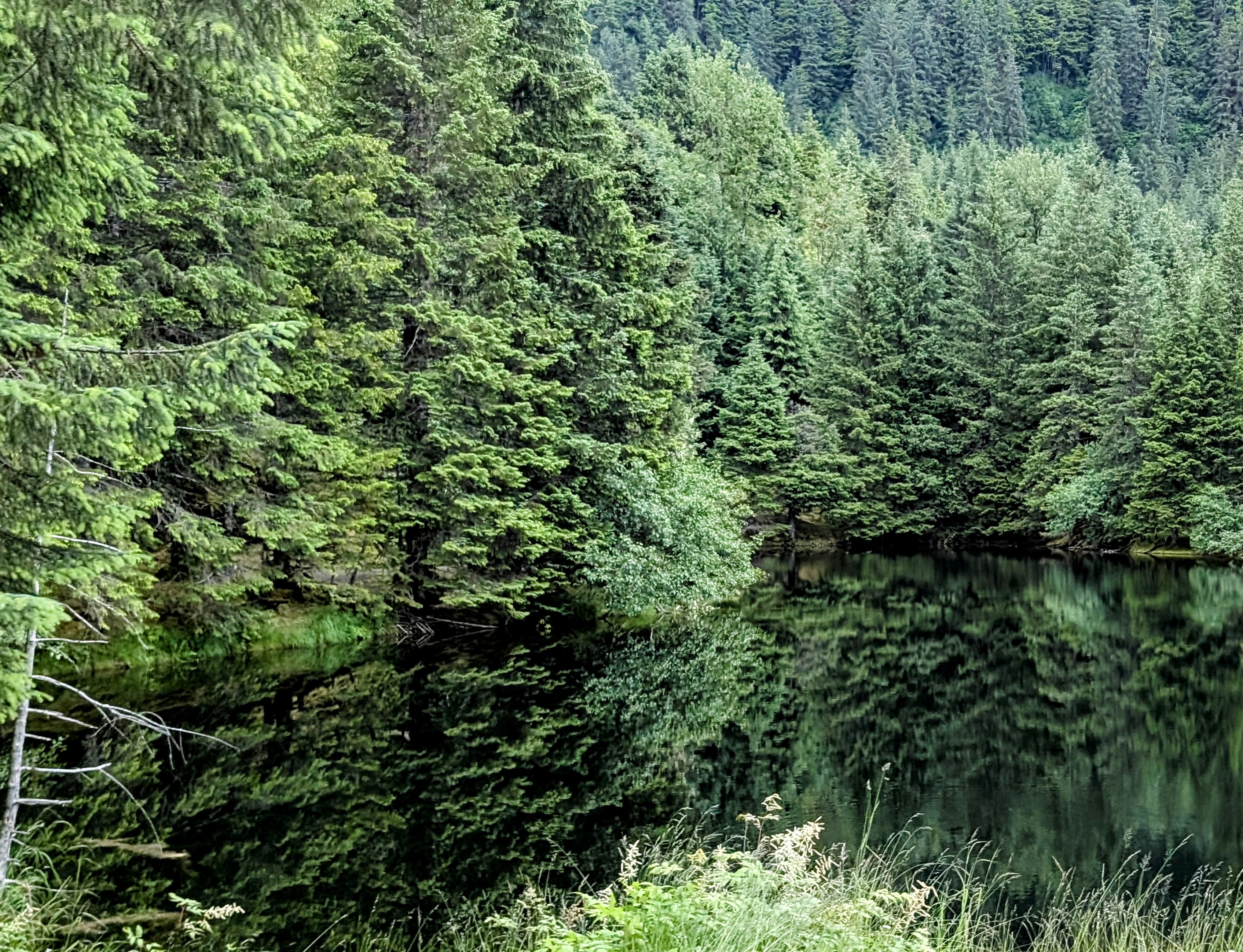 Photography Portfolio 8