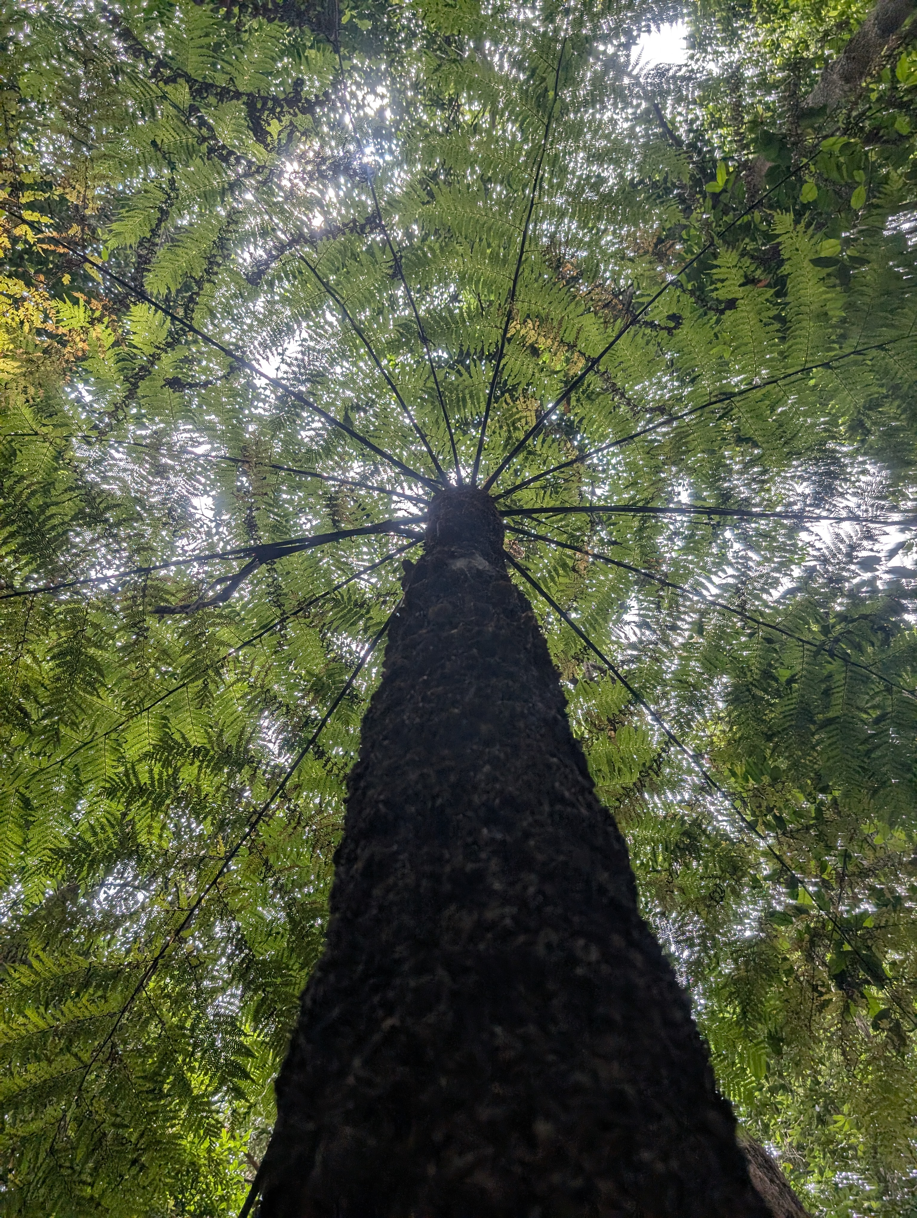 Photography Portfolio 12